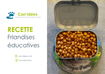 [Recette] Friandises éducatives à la saucisse fumée